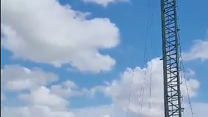 La Cooperativa arma el árbol gigante