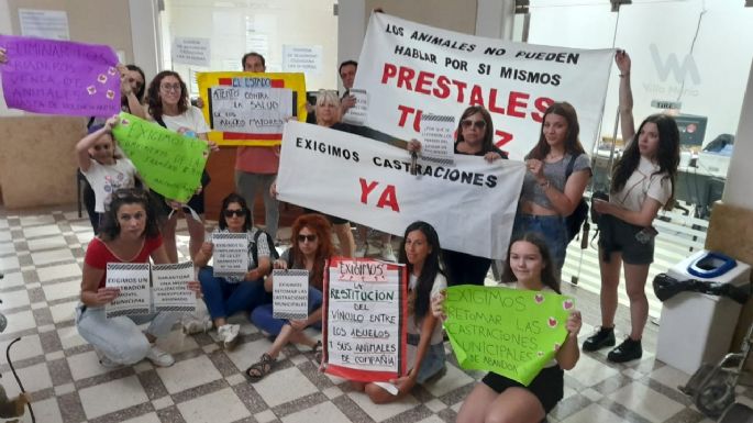 Pidieron que devuelvan los perros al Hogar de Ancianos y que se retomen las castraciones en el CAM