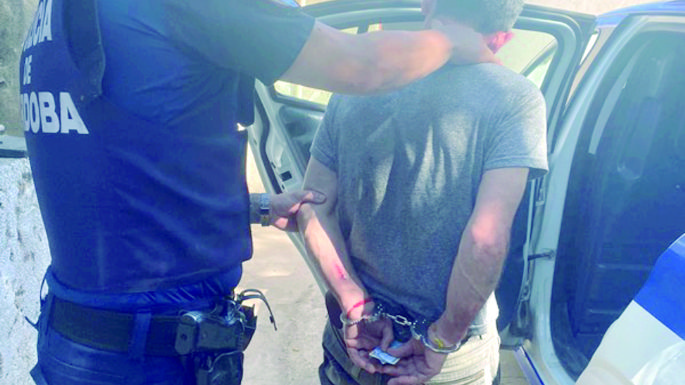 Cinco detenidos por robos y hurtos