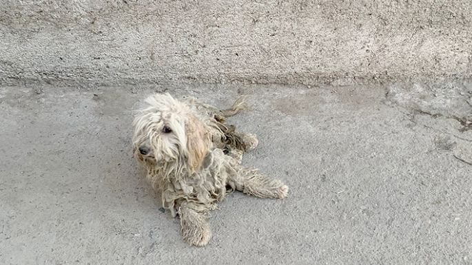 Ayuda tras un rescate