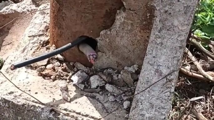 [Video] "Indignante": el Club San Lorenzo de Las Playas sufrió una serie de robos y destrozos