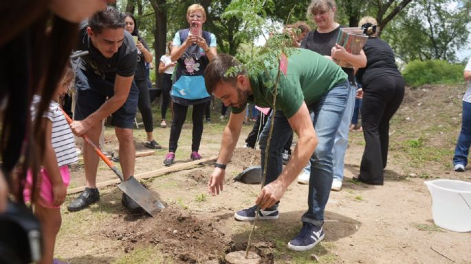 Pusieron en marcha el plan de Padrinazgo de Árboles