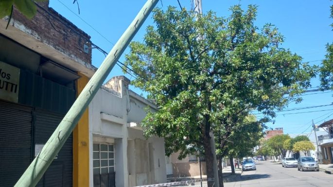 Peligro por un poste caído