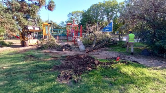 Reparan los daños ocasionados por el temporal de Nochebuena