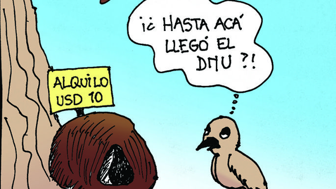 Humor 27/12/2023