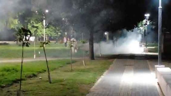 Fumigan contra los mosquitos