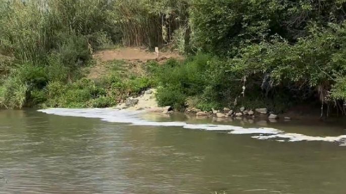 Denuncian que planta depuradora local vierte líquidos sin tratar al río
