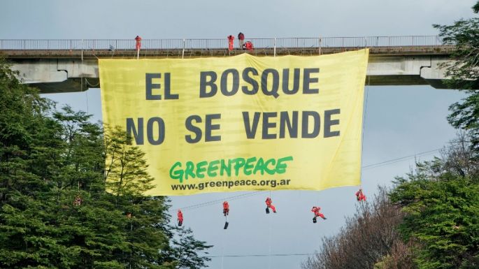 Greenpeace alerta sobre el "desastre ambiental" que ocasionaría la Ley Ómnibus