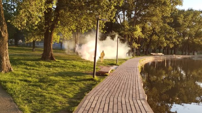 Lucha contra el dengue: comenzaron a fumigar en la costanera