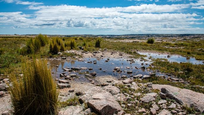 Córdoba ya cuenta con 30 reservas y áreas naturales protegidas