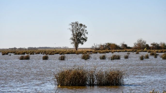 Córdoba ya cuenta con 30 reservas y áreas naturales protegidas