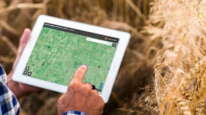 Renovado mapa que refiere a la salud de los suelos agrícolas