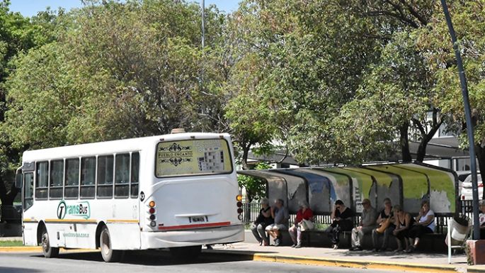 Sumaron cinco líneas al sistema de  colectivos, que pasan cada 45 minutos