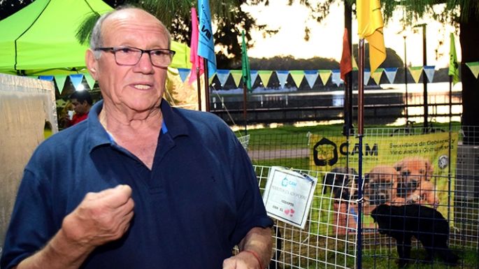 Un espacio que promueve la  adopción de perros y gatos