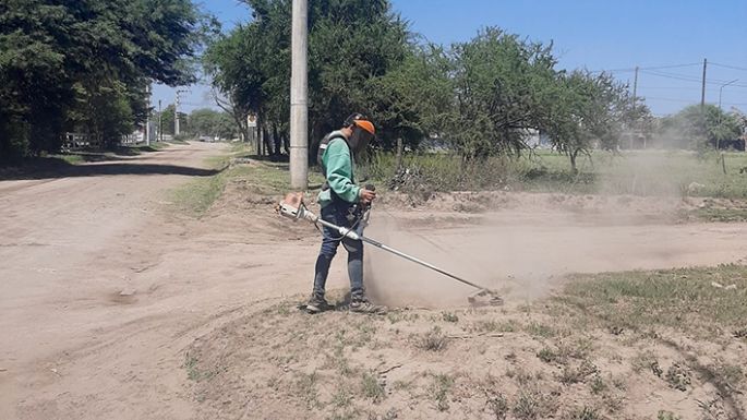 Limpieza y mantenimiento de espacios verdes