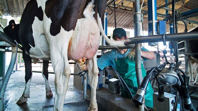 El 67% de las exportaciones argentinas son del agro