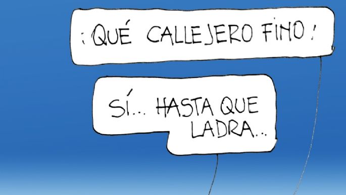 Humor festivalero