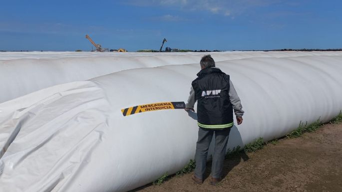 Incautaron más de 500 toneladas de granos por un valor de 34 millones de pesos
