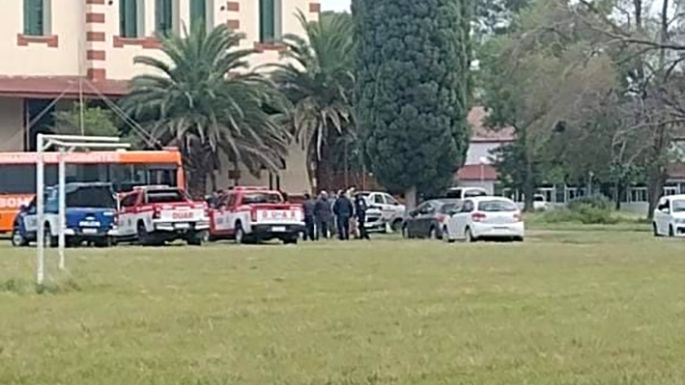 Denuncian presencia de roedores