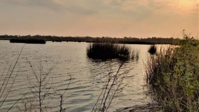 Segundo caso de gripe aviar: lo detectaron en la Laguna Las Mojarras