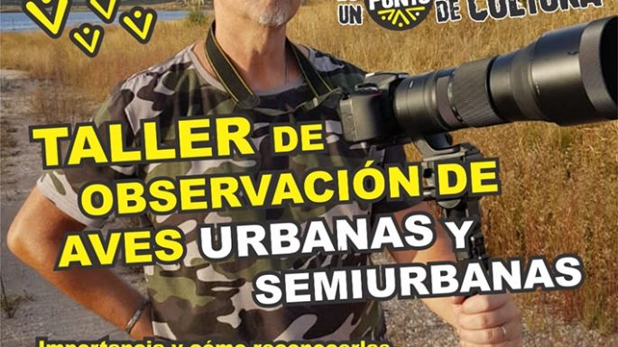 Avistaje de aves  en El Algarrobal