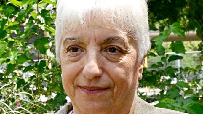 Detuvieron a la exdirectora del Hospital Neonatal, Liliana Asís