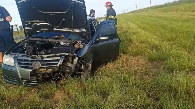 Dos vehículos colisionaron contra un animal suelto en la ruta