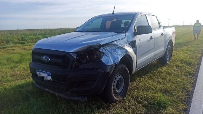 Dos vehículos colisionaron contra un animal suelto en la ruta