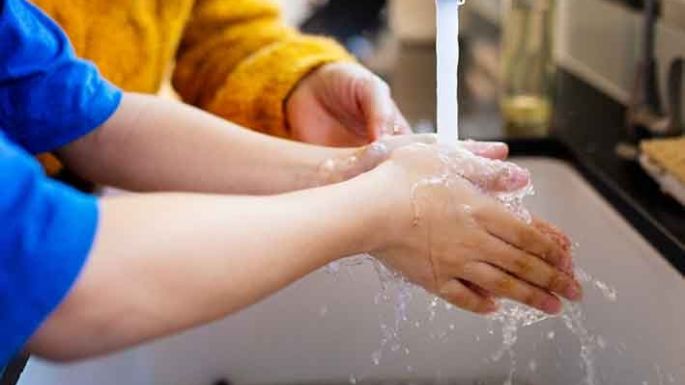 Cómo evitar las enfermedades que se transmiten por alimentos