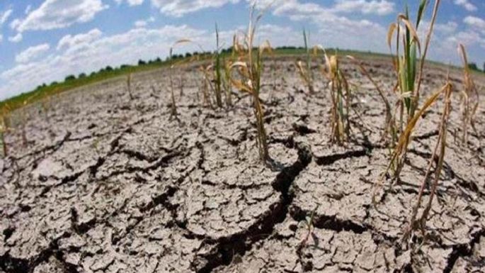 Agricultura decretó hoy el final del fenómeno "La Niña"