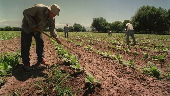 La UATRE acordó un 32% de aumento para el trabajo rural