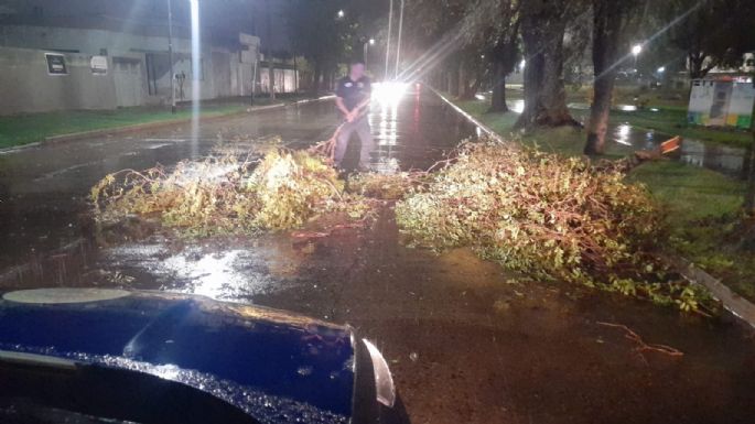Una fuerte tormenta provocó destrozos en Río Cuarto y toda la zona