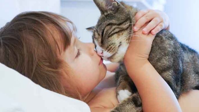 Por qué los gatos lamen a sus dueños