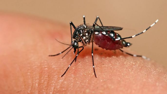 Prevención de dengue: realizan capacitaciones y abordaje territorial