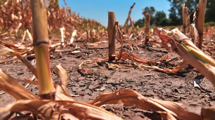 Extendieron hasta fines de febrero la emergencia agropecuaria