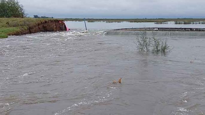 Temor: casi desaparece la laguna