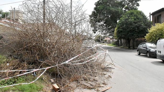Queja vecinal por ramaje