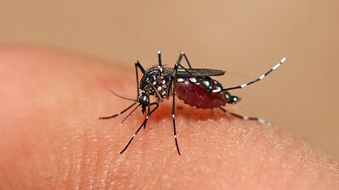 Situación del dengue en el país