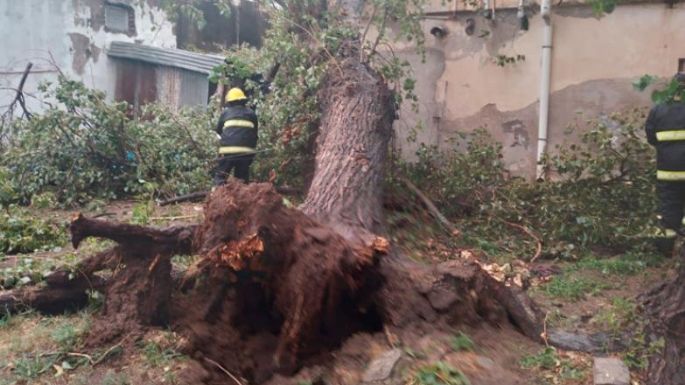 La tormenta y el viento provocaron varios destrozos en la provincia