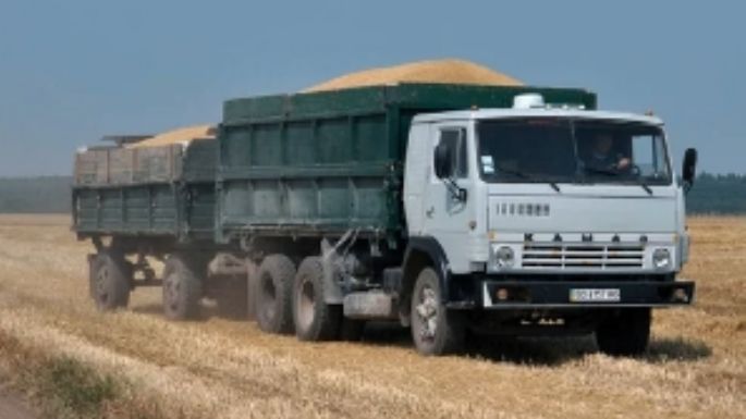 Incautan cereales por $28 millones