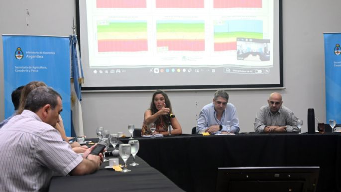 Córdoba pidió a Nación la homologación de los decretos de sequía y helada