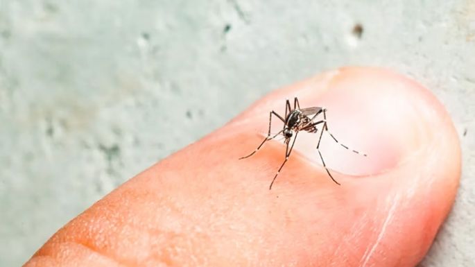 Dengue en aumento