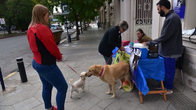 Vacunación Antirrábica: ya superan las 2.300 dosis aplicadas