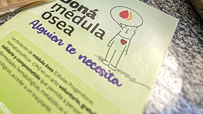 Invitan a ser donantes de médula ósea