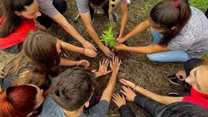 Los estudiantes plantaron árboles