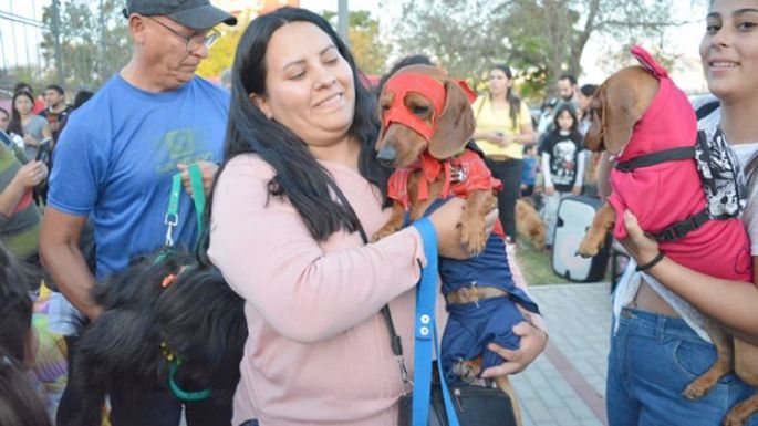 Llega un nuevo “Maravilloso día de perros”