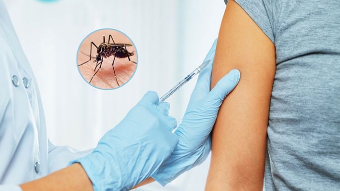 Dengue: registraron 1.047 nuevos casos