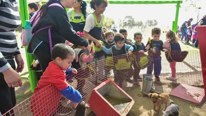 Las mascotas del CAM tuvieron gratas visitas