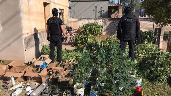 Un detenido con más de 14 mil dosis de drogas en su casa