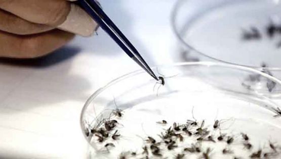 Confirman la primera muerte por dengue en CÃ³rdoba durante 2023
